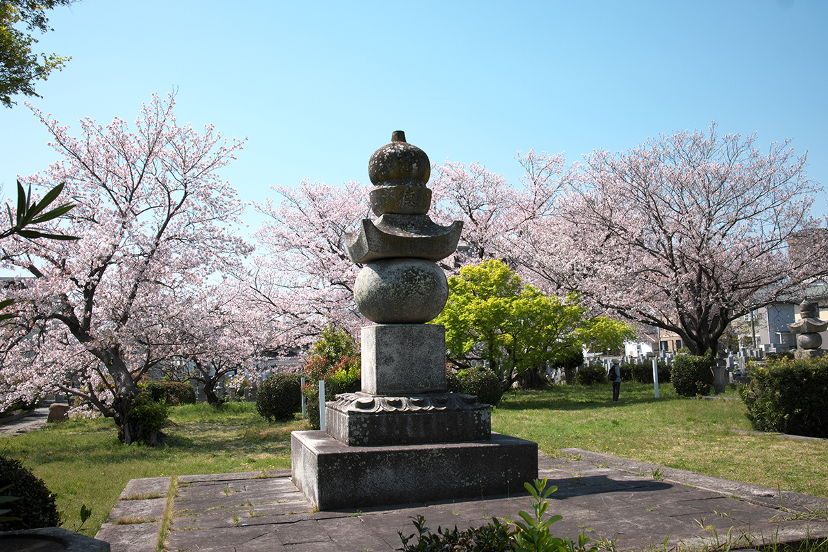 春の陣