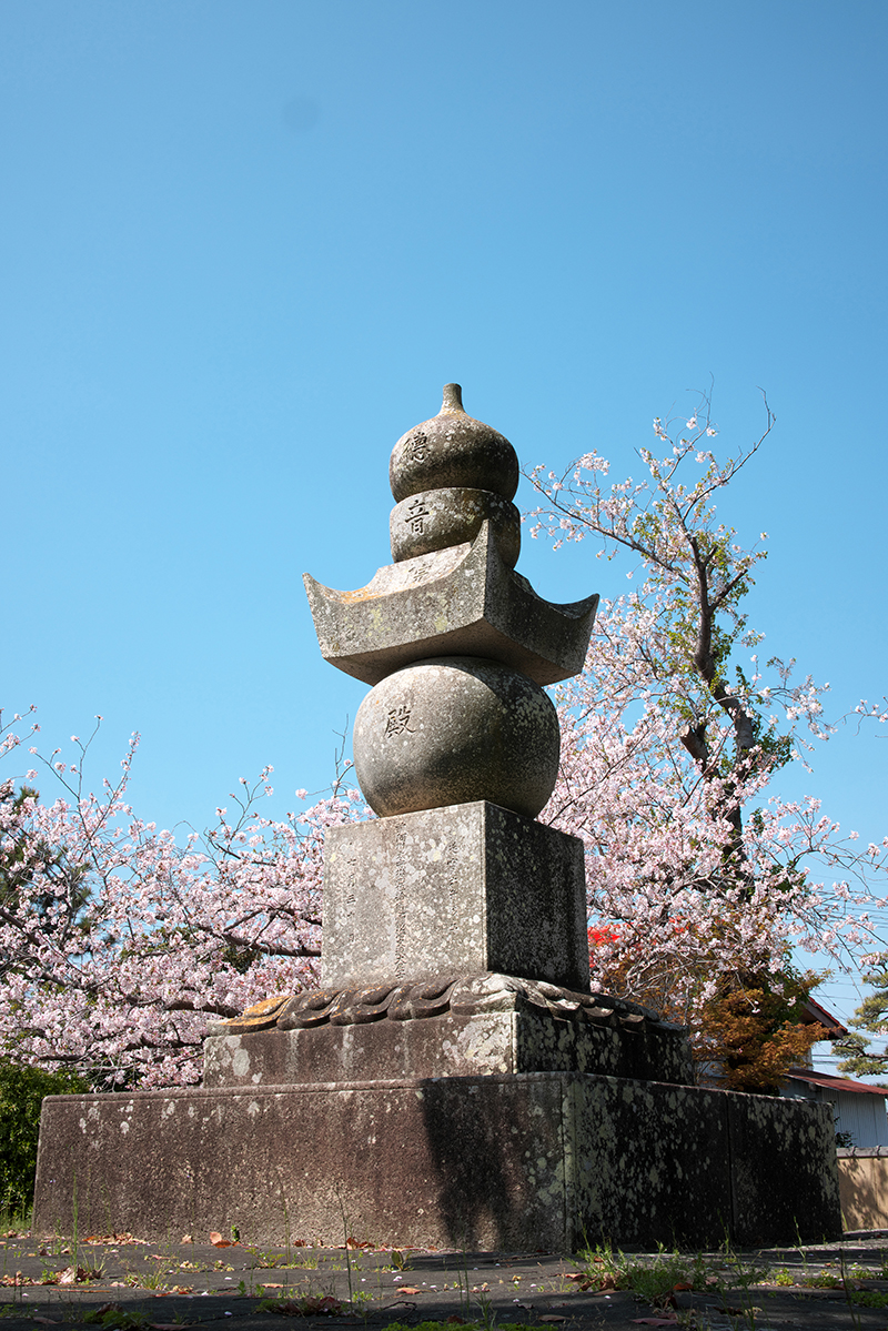 桜と殿様